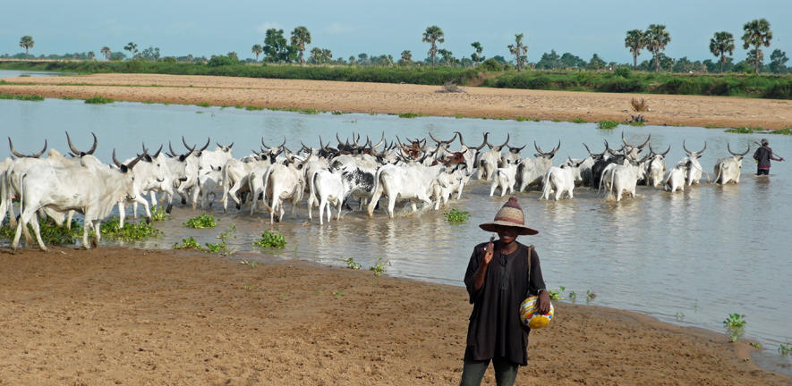 Farmer, Taraba State, north-east Nigeria, photo©Adam Higazi