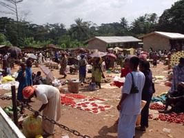 Nigerian village market