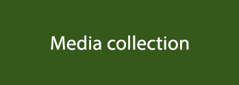 Media collection